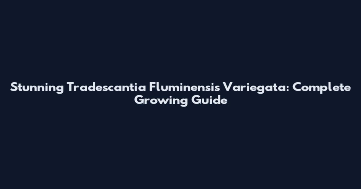 Stunning Tradescantia Fluminensis Variegata: Complete Growing Guide