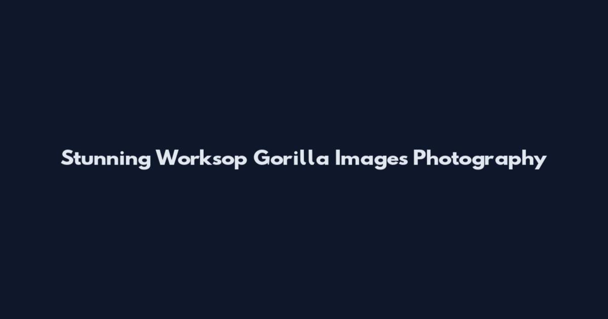 Stunning Worksop Gorilla Images Photography