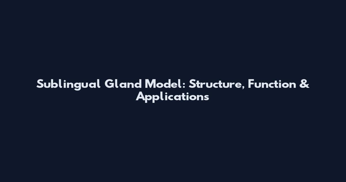 Sublingual Gland Model: Structure, Function & Applications