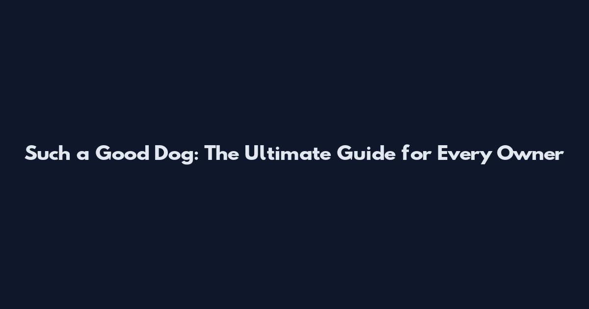 Such a Good Dog: The Ultimate Guide for Every Owner
