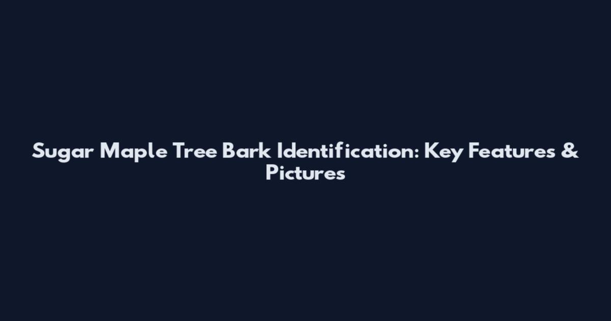 Sugar Maple Tree Bark Identification: Key Features & Pictures
