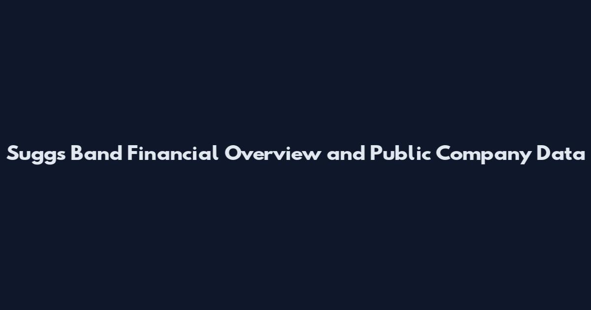 Suggs Band Financial Overview and Public Company Data
