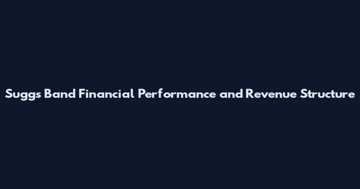 Suggs Band Financial Performance and Revenue Structure