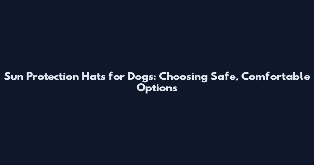 Sun Protection Hats for Dogs: Choosing Safe, Comfortable Options