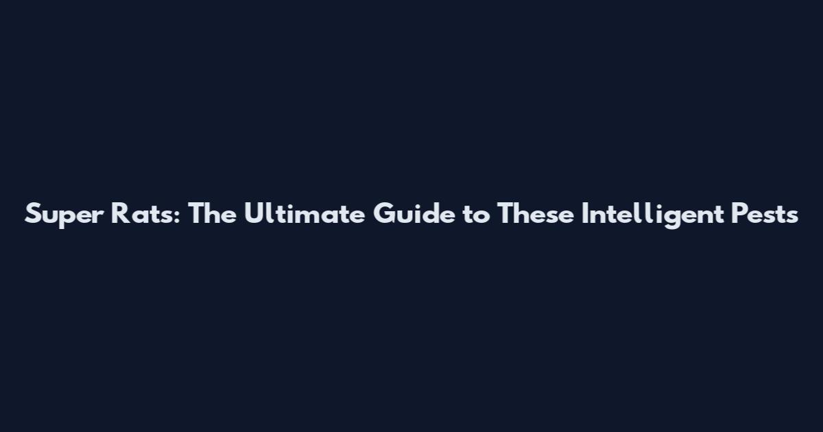 Super Rats: The Ultimate Guide to These Intelligent Pests
