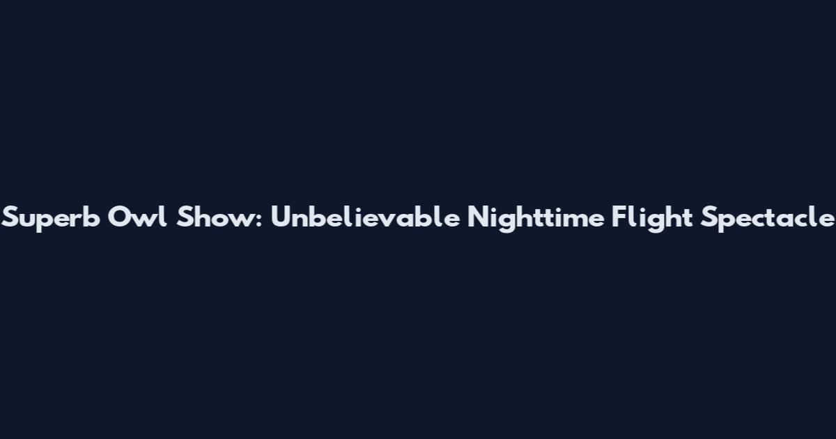 Superb Owl Show: Unbelievable Nighttime Flight Spectacle