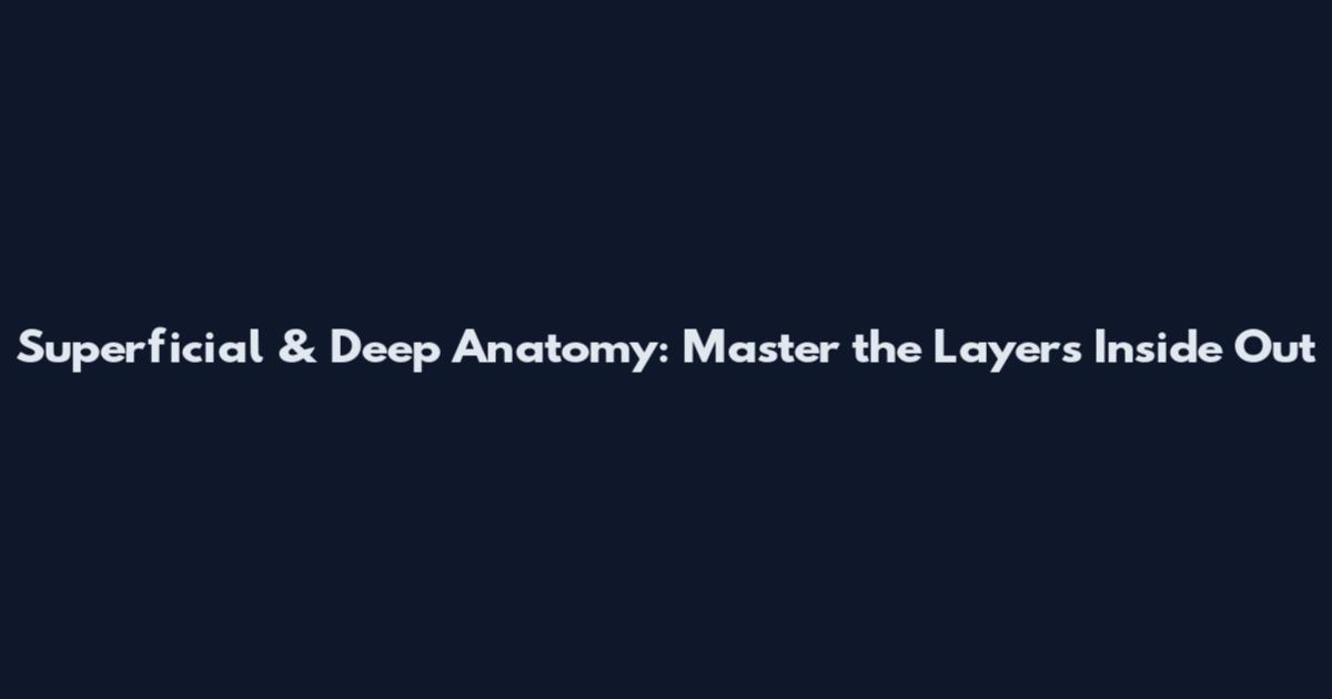 Superficial & Deep Anatomy: Master the Layers Inside Out