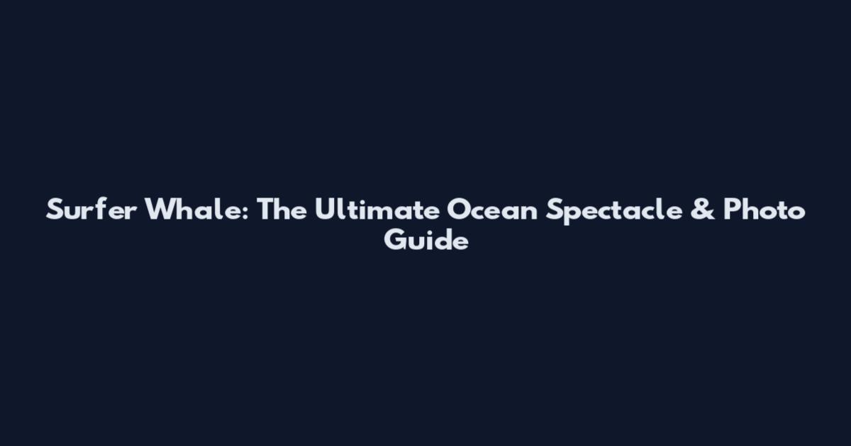 Surfer Whale: The Ultimate Ocean Spectacle & Photo Guide