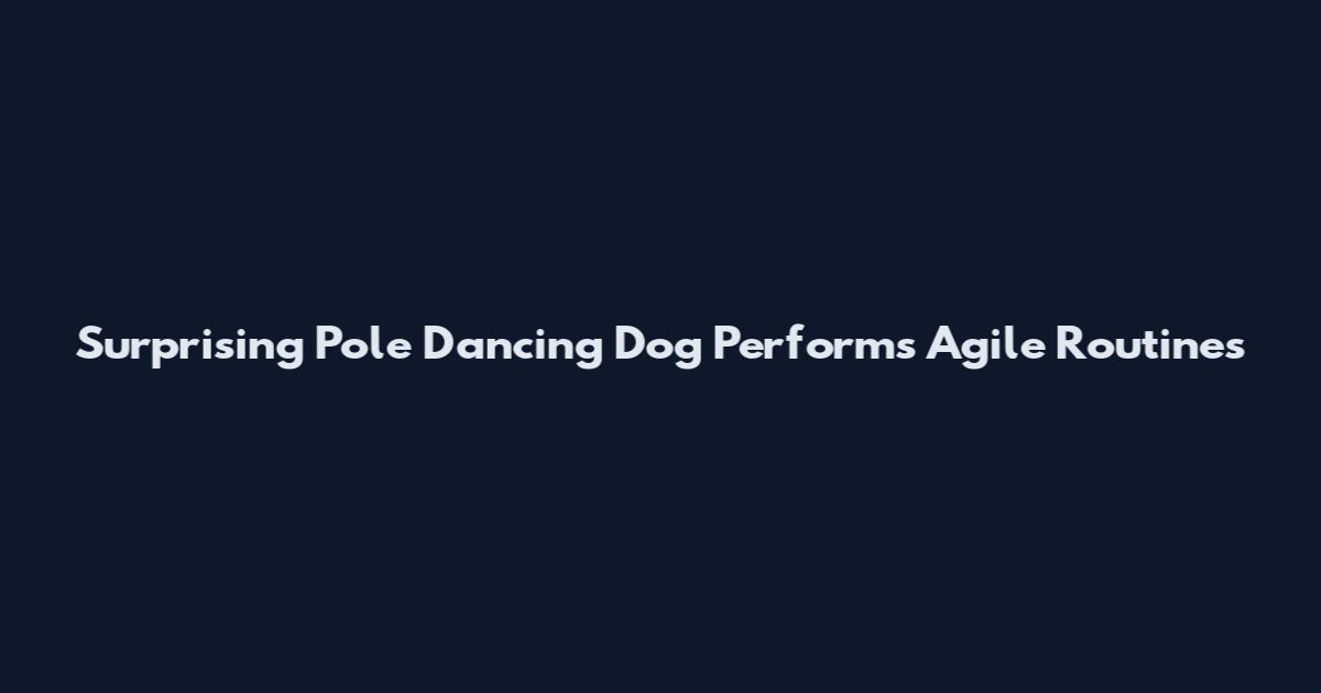 Surprising Pole Dancing Dog Performs Agile Routines