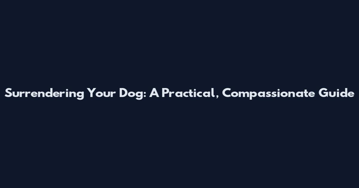 Surrendering Your Dog: A Practical, Compassionate Guide
