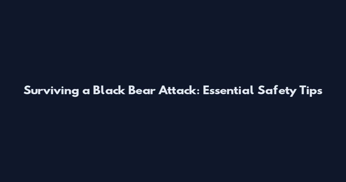 Surviving a Black Bear Attack: Essential Safety Tips