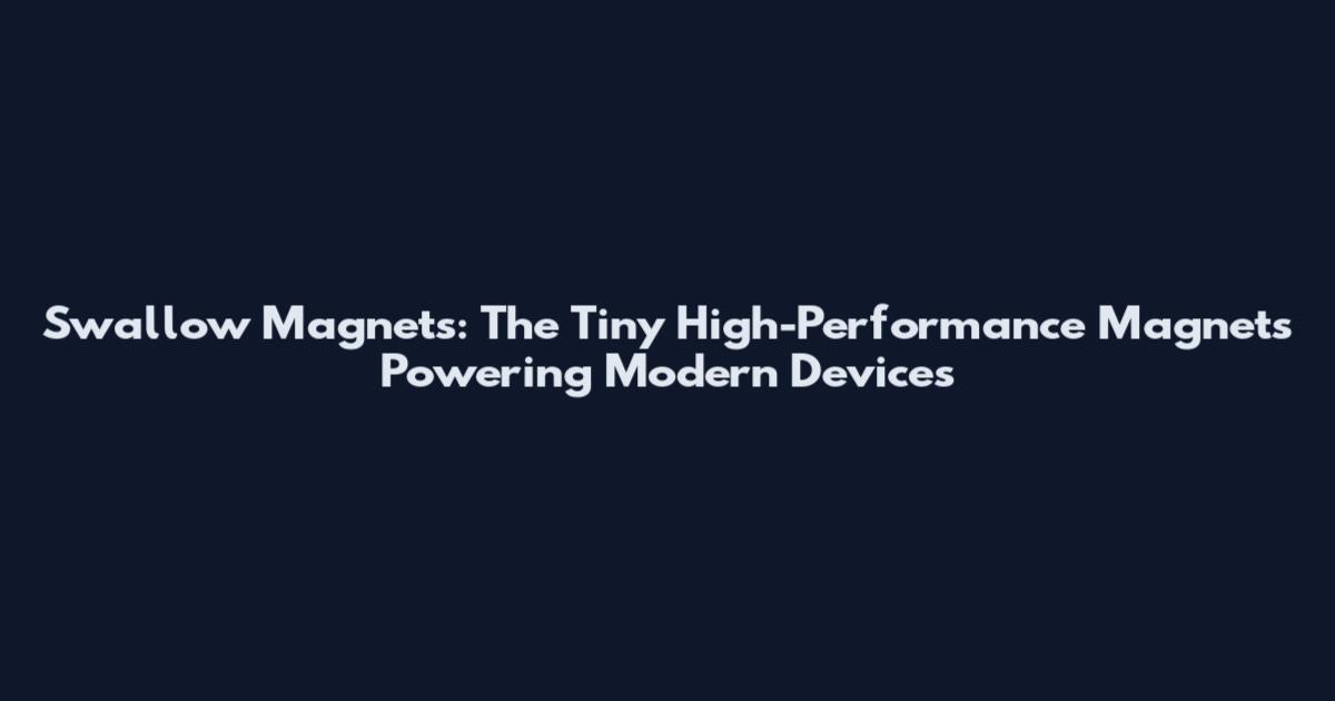 Swallow Magnets: The Tiny High-Performance Magnets Powering Modern Devices