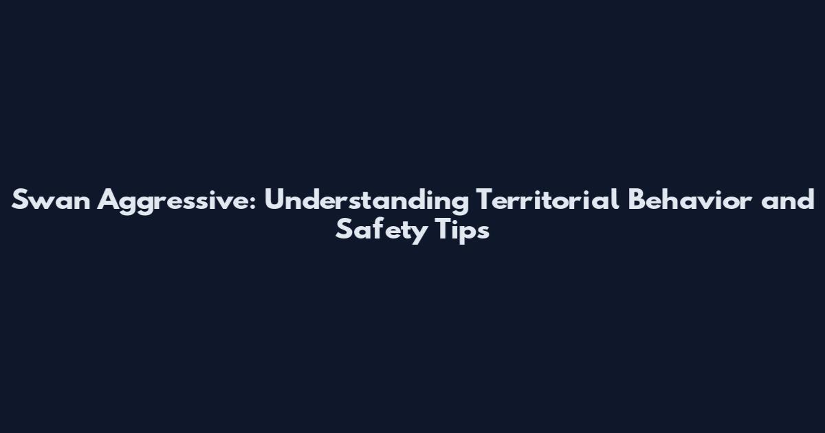 Swan Aggressive: Understanding Territorial Behavior and Safety Tips