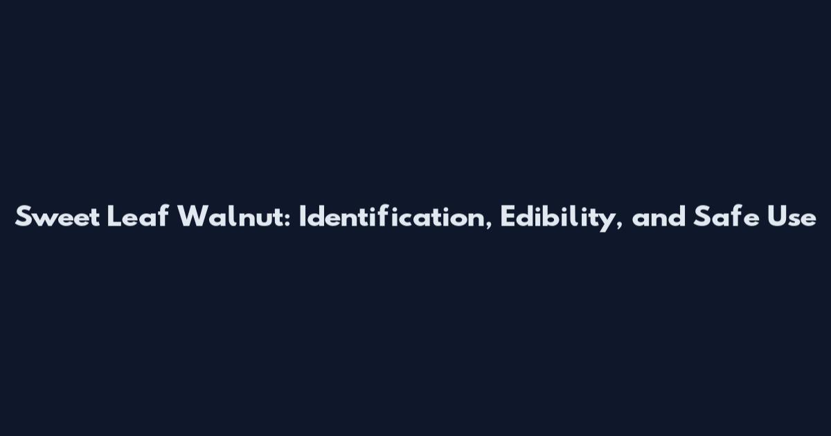 Sweet Leaf Walnut: Identification, Edibility, and Safe Use