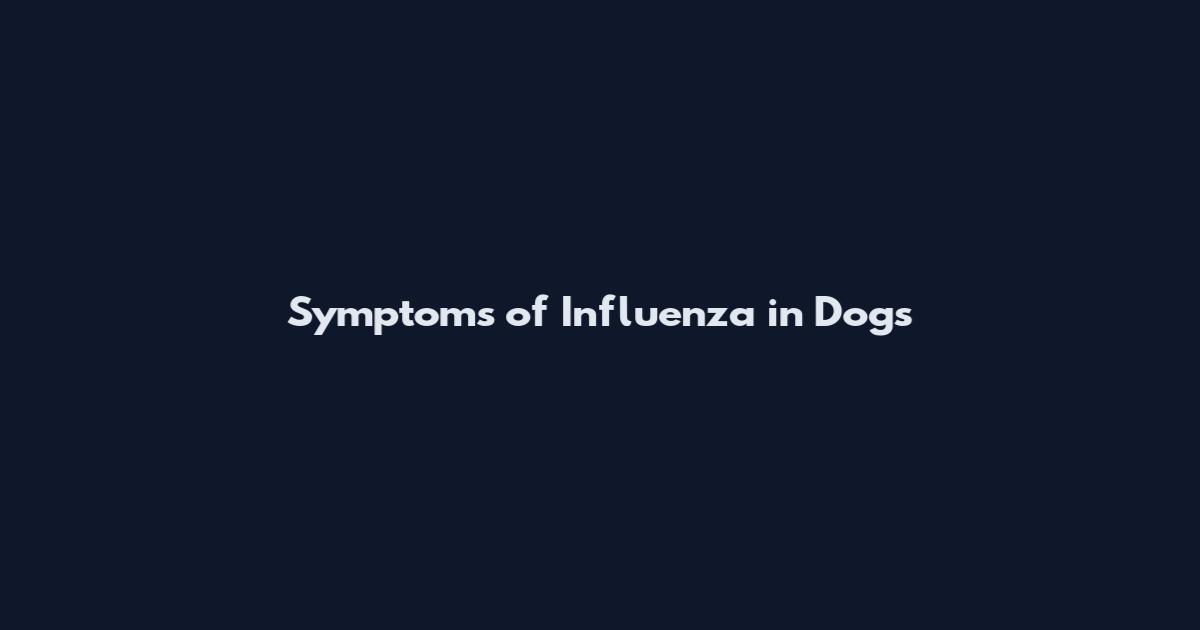 Symptoms of Influenza in Dogs