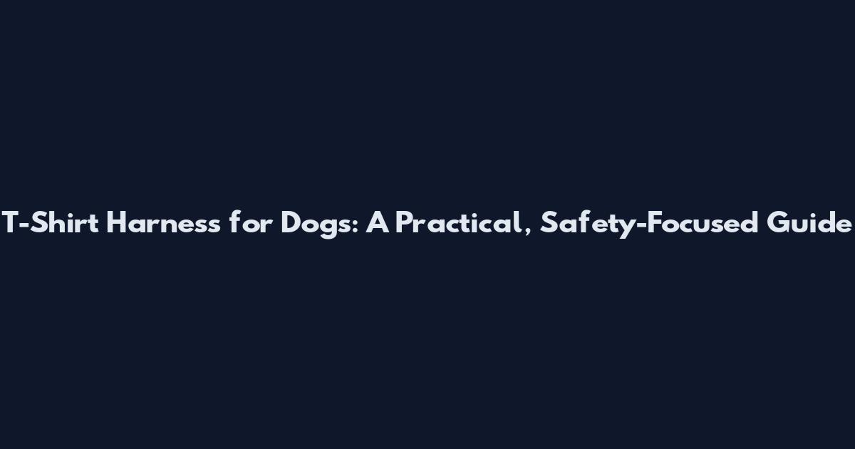 T-Shirt Harness for Dogs: A Practical, Safety-Focused Guide