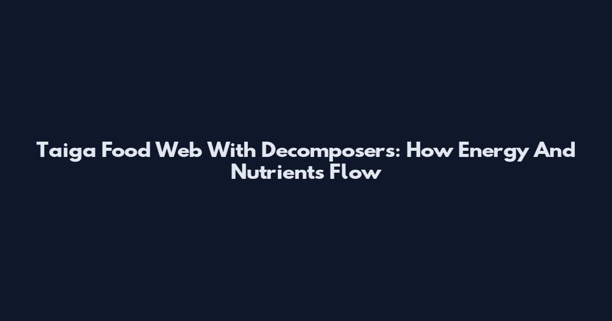 Taiga Food Web With Decomposers: How Energy And Nutrients Flow