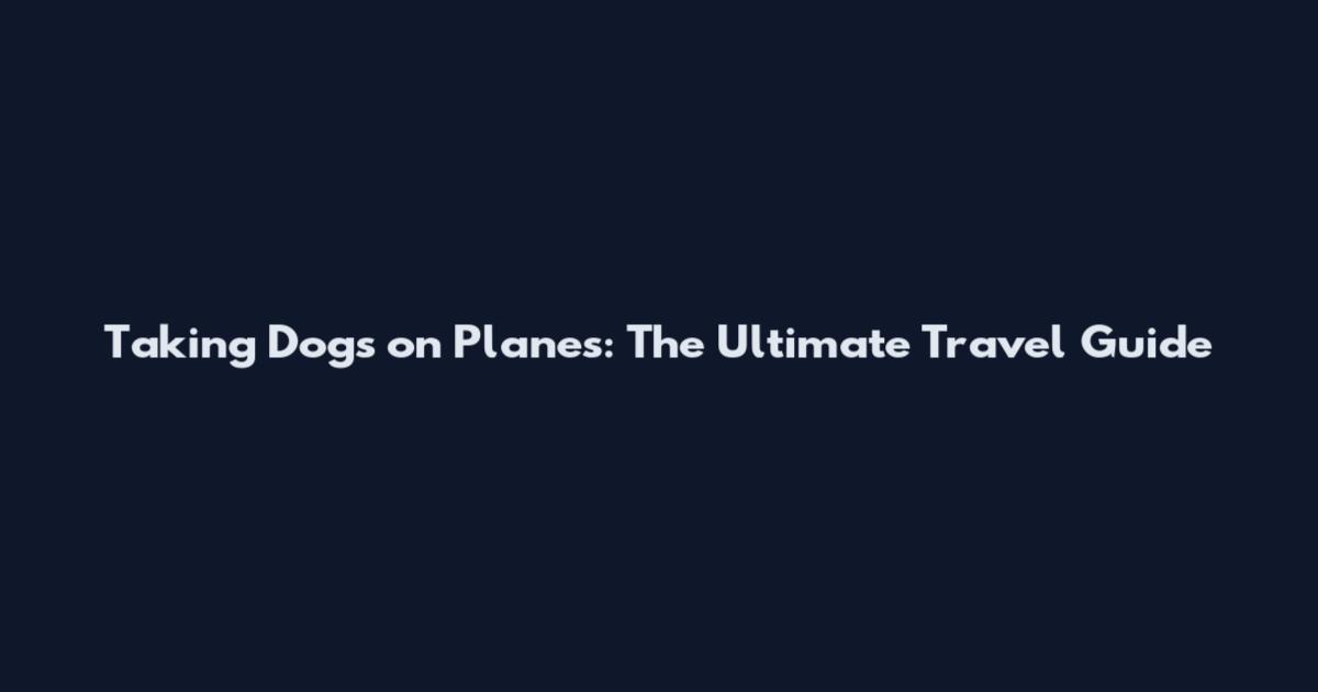 Taking Dogs on Planes: The Ultimate Travel Guide