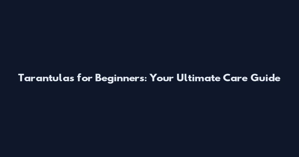 Tarantulas for Beginners: Your Ultimate Care Guide