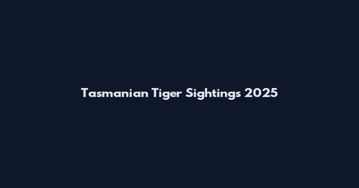 Tasmanian Tiger Sightings 2025