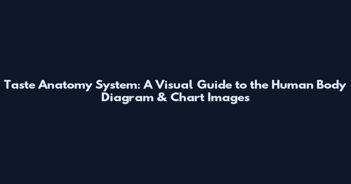 Taste Anatomy System: A Visual Guide to the Human Body Diagram & Chart Images