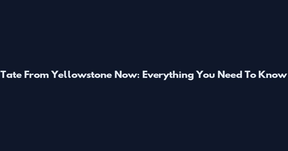 Tate From Yellowstone Now: Everything You Need To Know