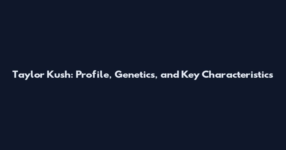 Taylor Kush: Profile, Genetics, and Key Characteristics