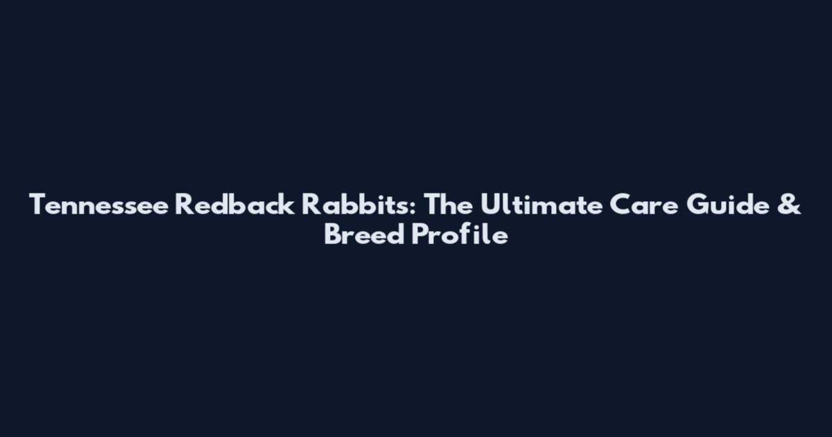 Tennessee Redback Rabbits: The Ultimate Care Guide & Breed Profile