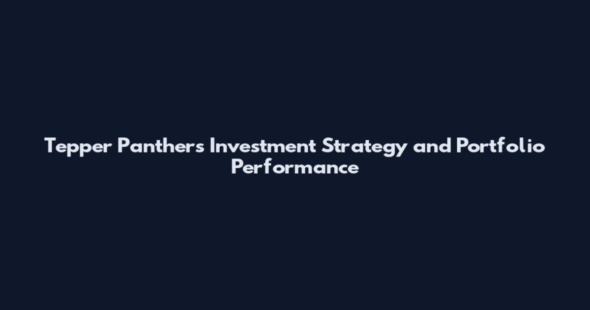 Tepper Panthers Investment Strategy and Portfolio Performance