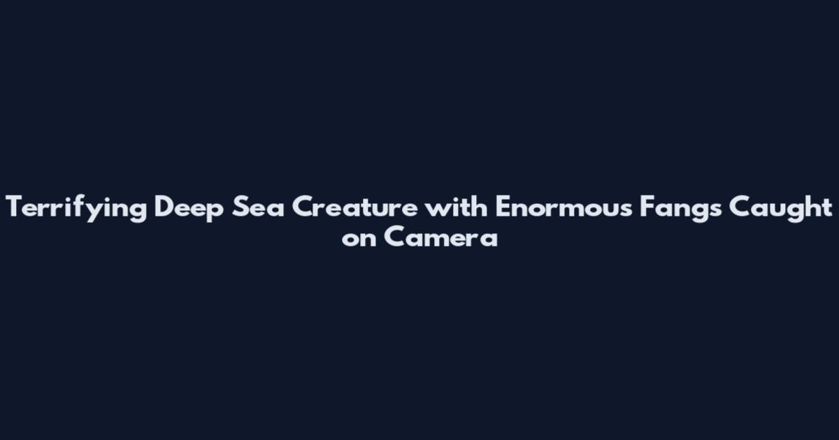 Terrifying Deep Sea Creature with Enormous Fangs Caught on Camera