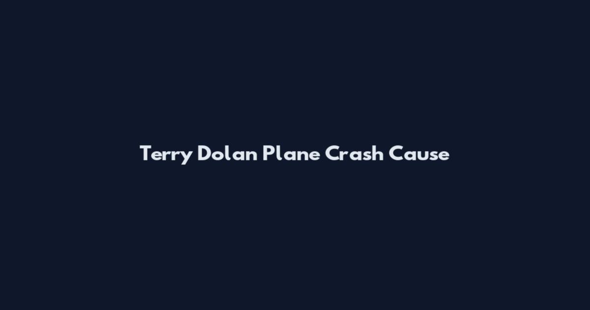 Terry Dolan Plane Crash Cause