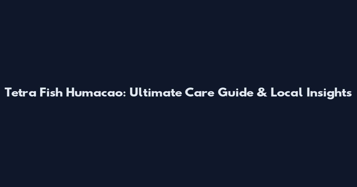 Tetra Fish Humacao: Ultimate Care Guide & Local Insights