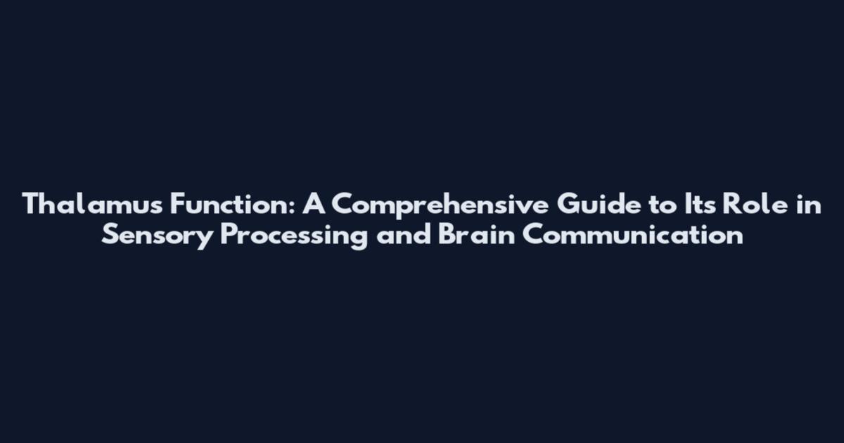 Thalamus Function: A Comprehensive Guide to Its Role in Sensory Processing and Brain Communication