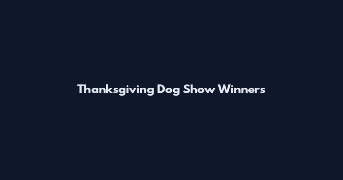 Thanksgiving Dog Show Winners
