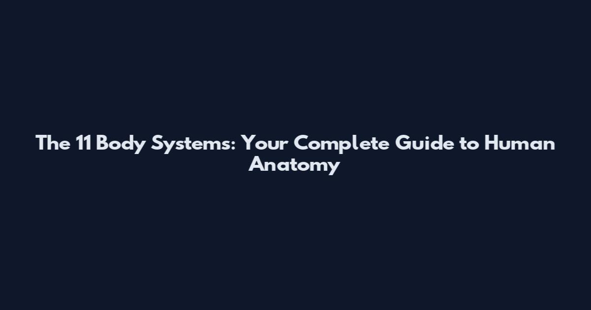 The 11 Body Systems: Your Complete Guide to Human Anatomy