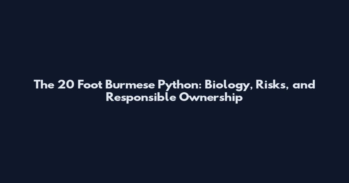 The 20 Foot Burmese Python: Biology, Risks, and Responsible Ownership