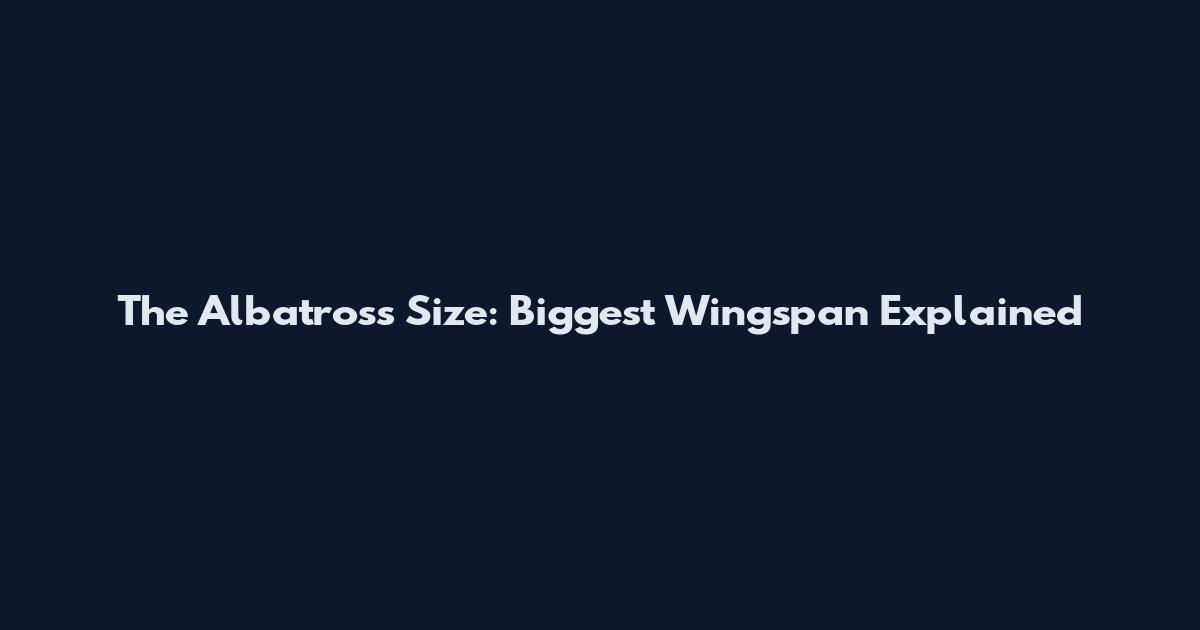 The Albatross Size: Biggest Wingspan Explained