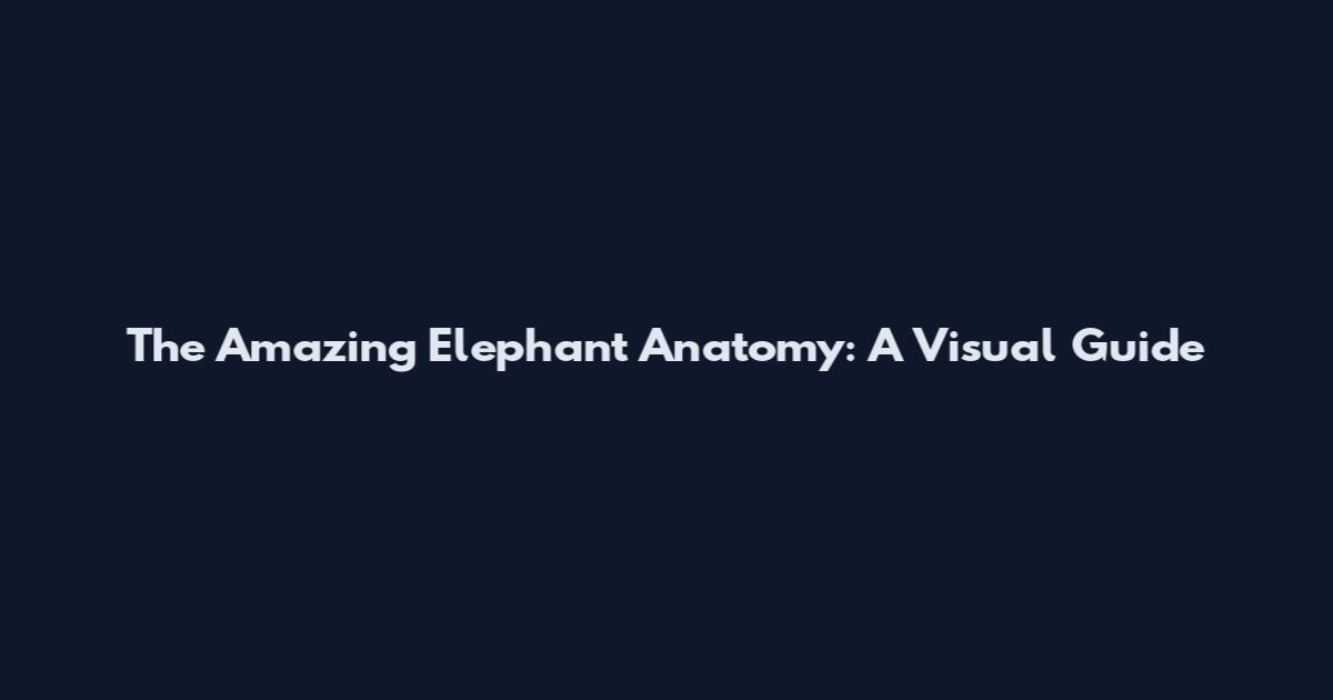 The Amazing Elephant Anatomy: A Visual Guide