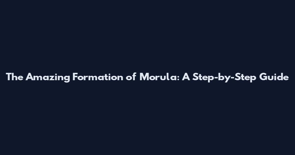 The Amazing Formation of Morula: A Step-by-Step Guide