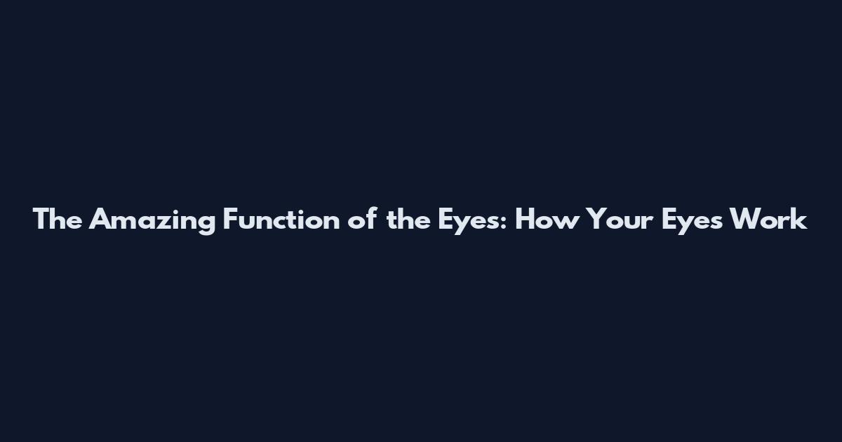 The Amazing Function of the Eyes: How Your Eyes Work