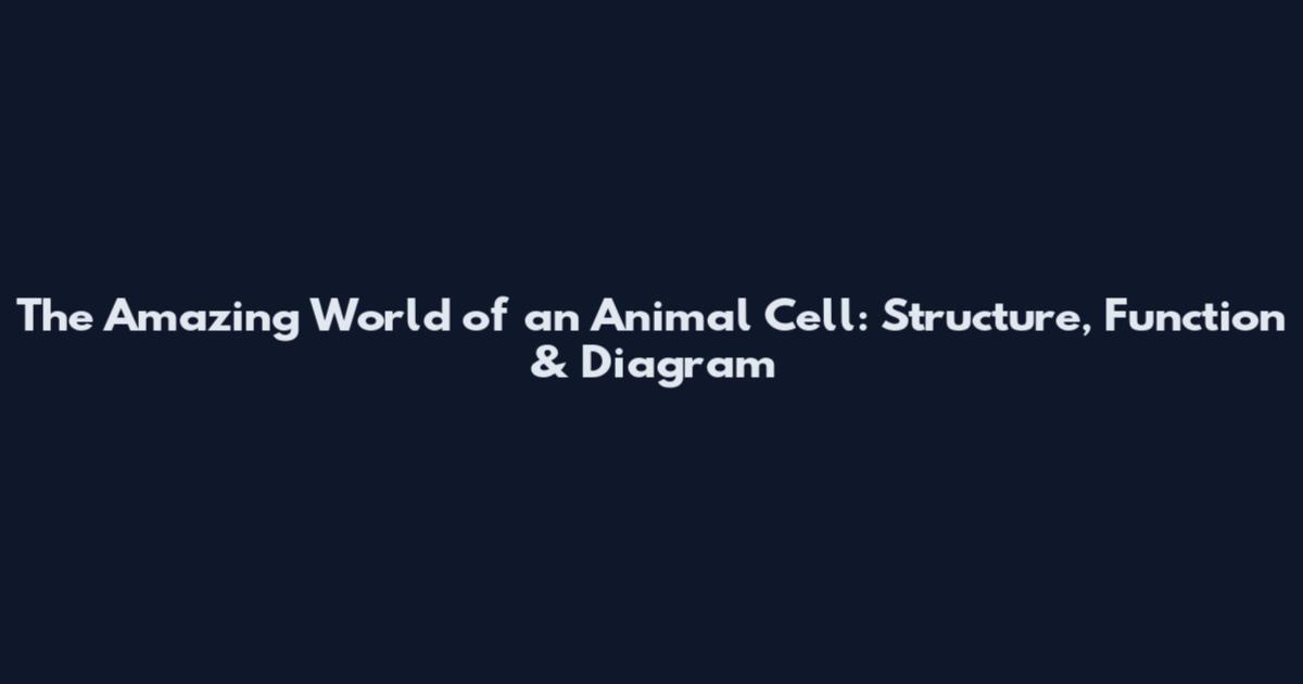 The Amazing World of an Animal Cell: Structure, Function & Diagram