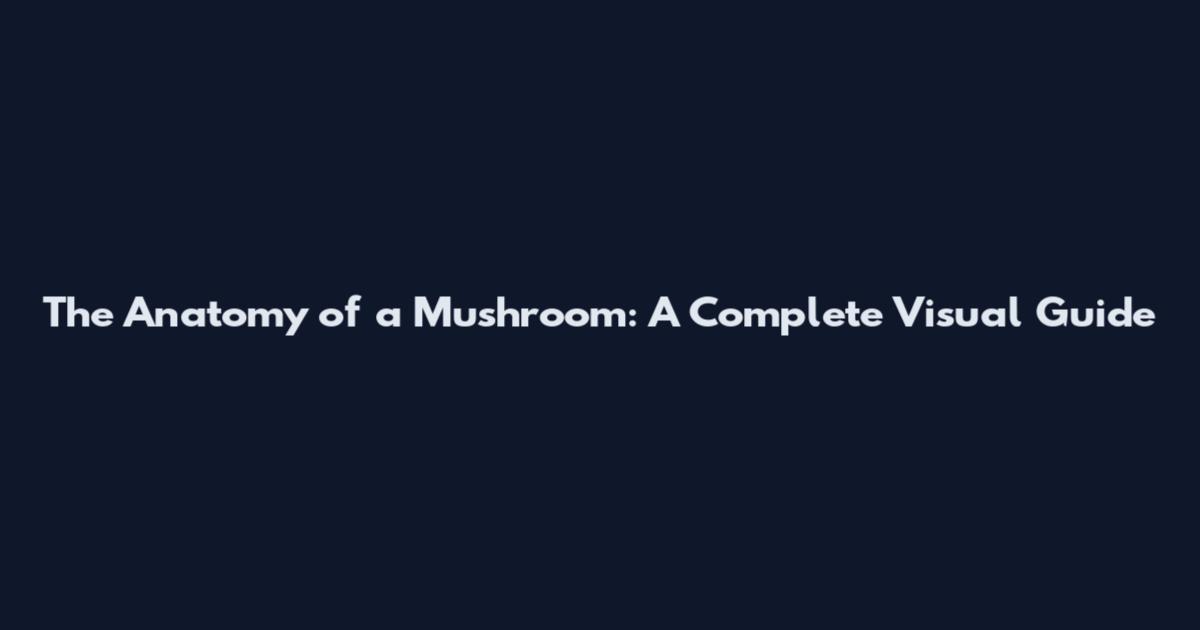 The Anatomy of a Mushroom: A Complete Visual Guide