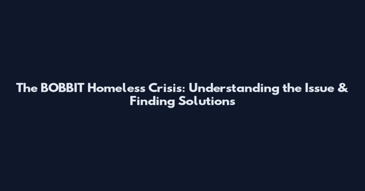 The BOBBIT Homeless Crisis: Understanding the Issue & Finding Solutions