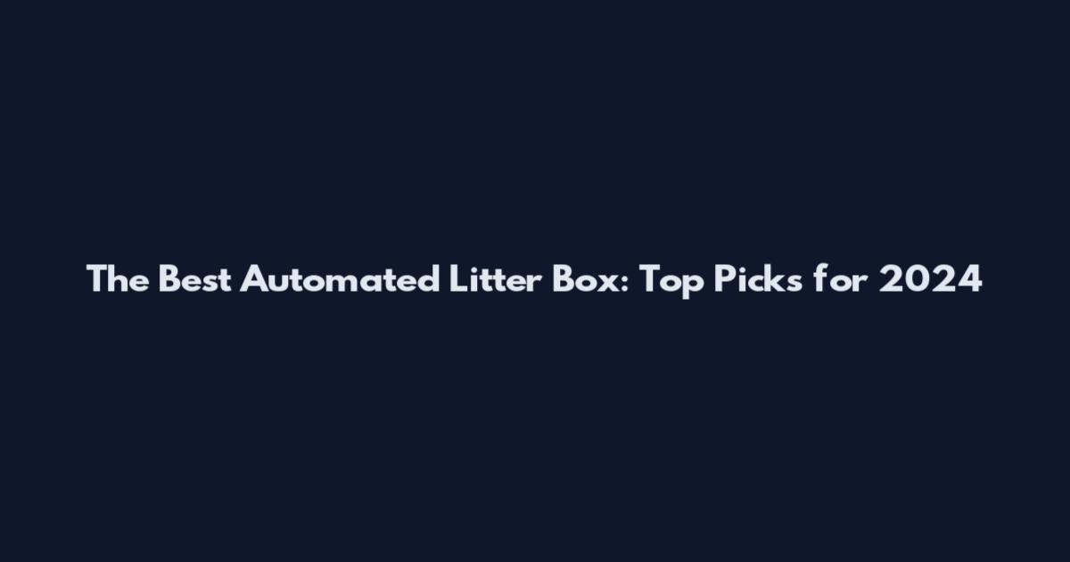 The Best Automated Litter Box: Top Picks for 2024