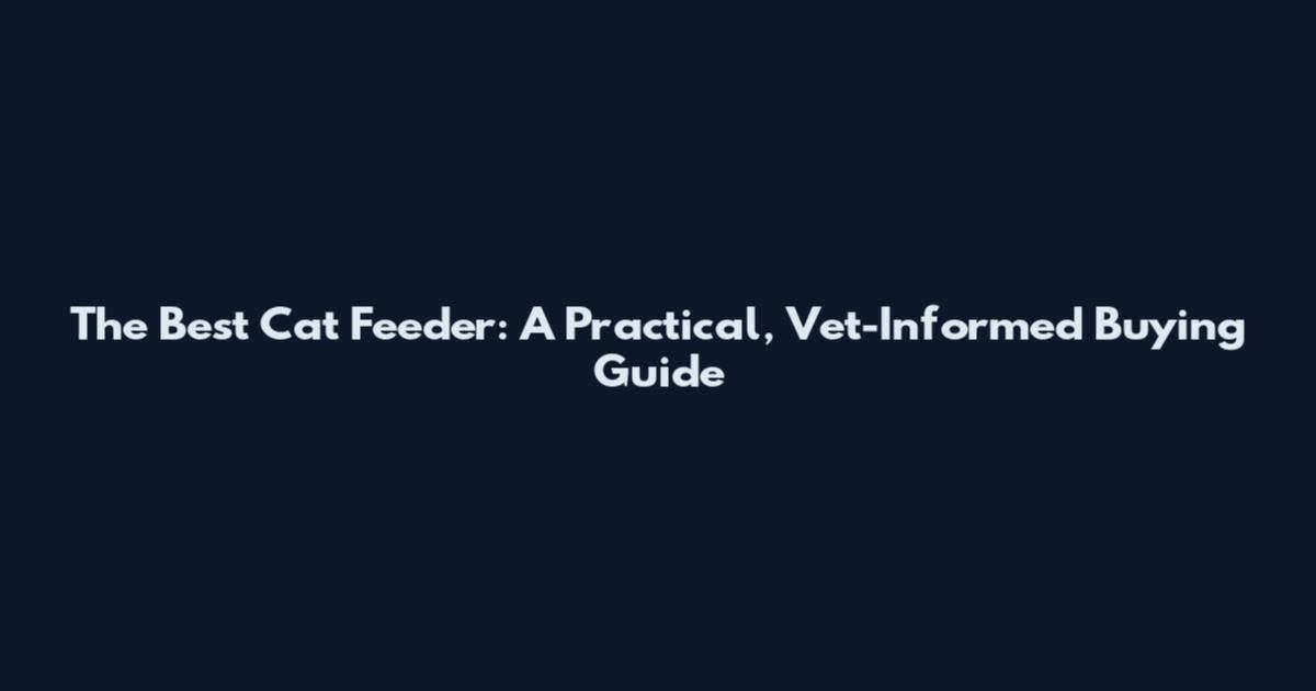 The Best Cat Feeder: A Practical, Vet-Informed Buying Guide