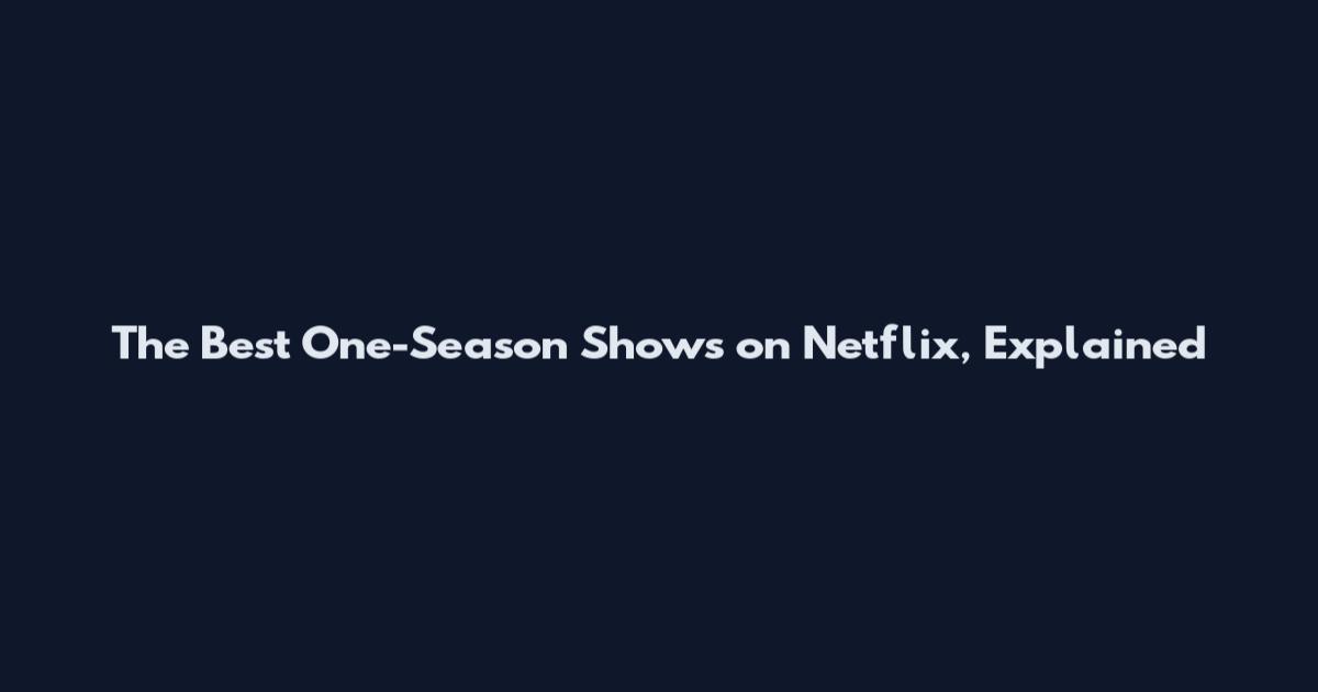 The Best One-Season Shows on Netflix, Explained