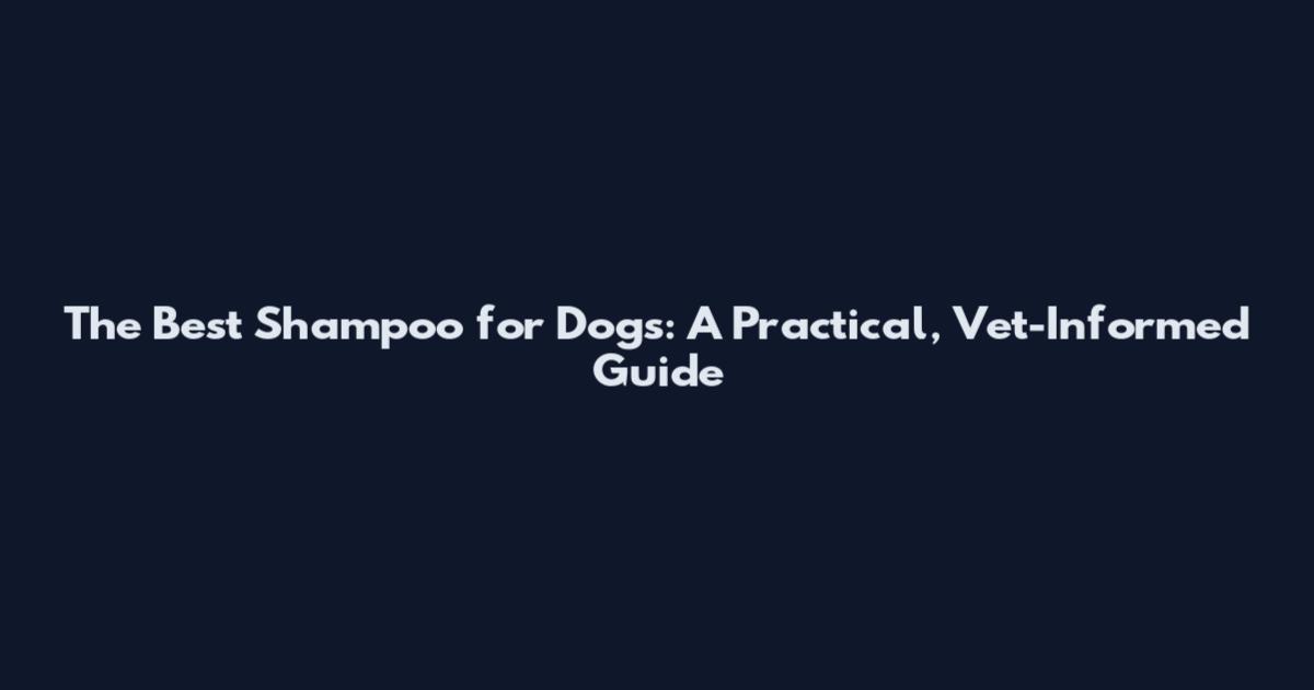 The Best Shampoo for Dogs: A Practical, Vet-Informed Guide