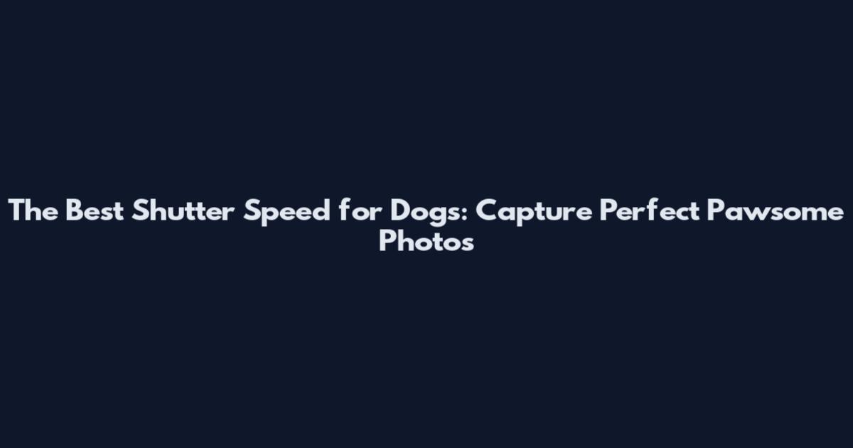 The Best Shutter Speed for Dogs: Capture Perfect Pawsome Photos