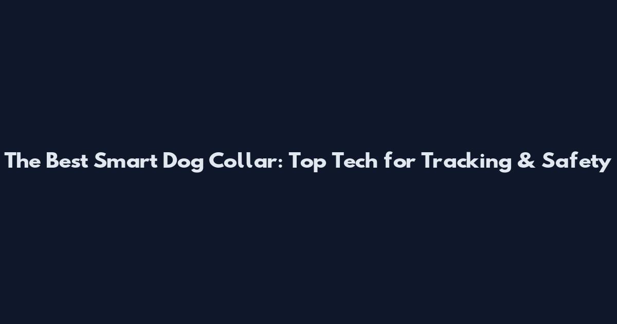 The Best Smart Dog Collar: Top Tech for Tracking & Safety