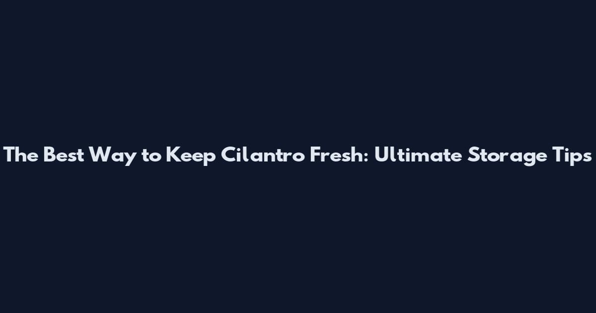 The Best Way to Keep Cilantro Fresh: Ultimate Storage Tips